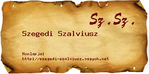 Szegedi Szalviusz névjegykártya